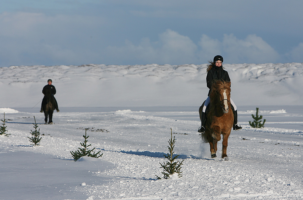 istolt austurland 0267 web