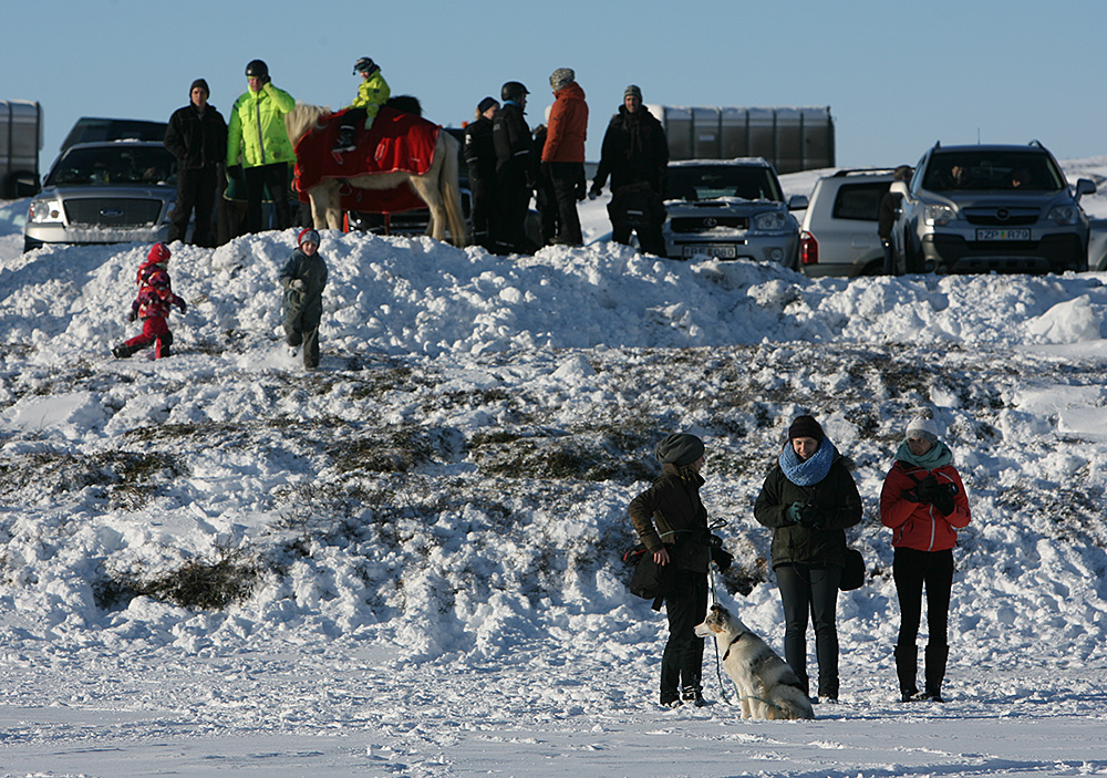 istolt austurland 0283 web