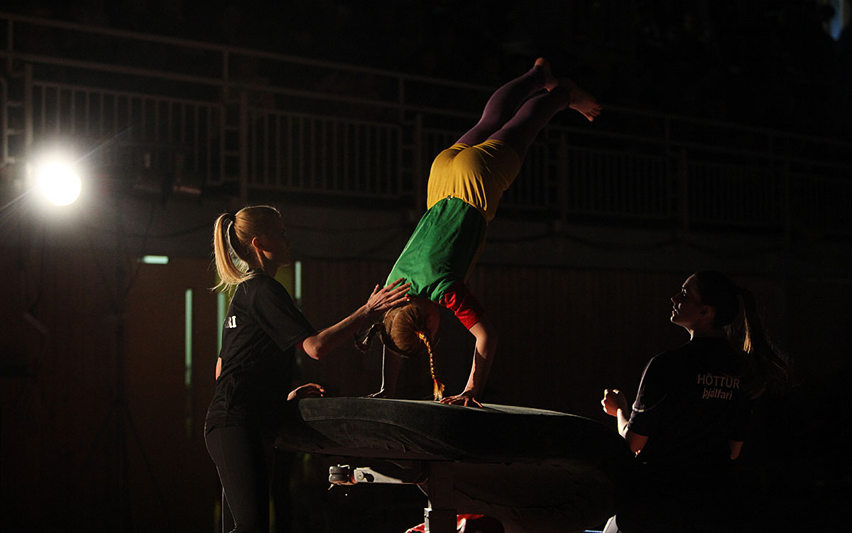 Fimleikasyning Lina Grease Hottur Jan16 0142 Web