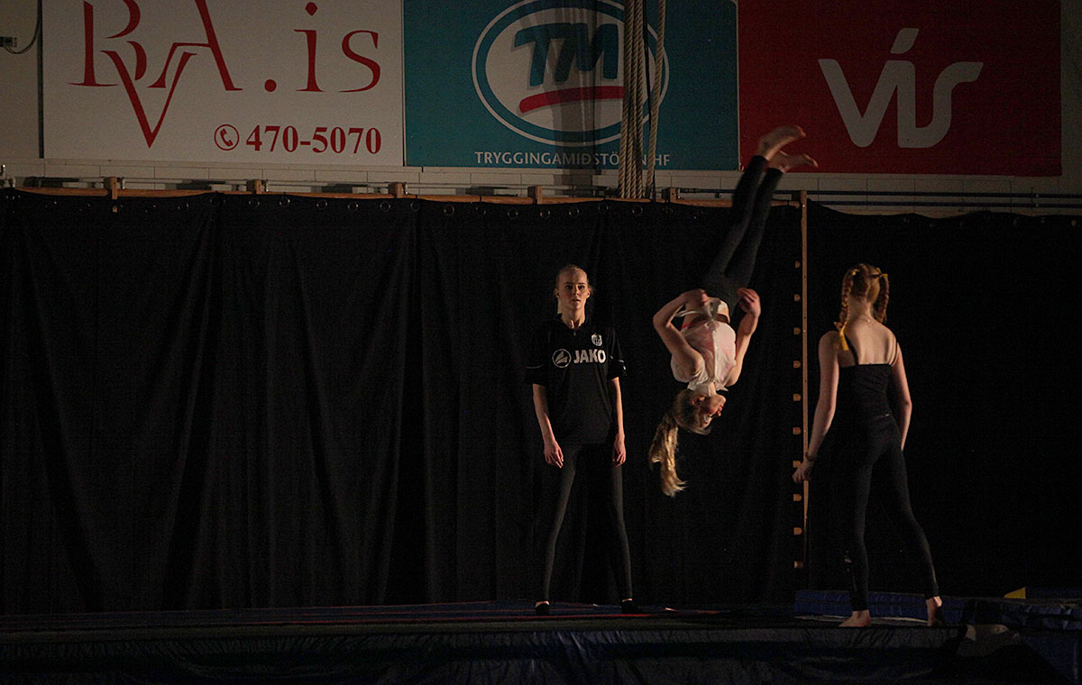 Fimleikasyning Lina Grease Hottur Jan16 0504 Web