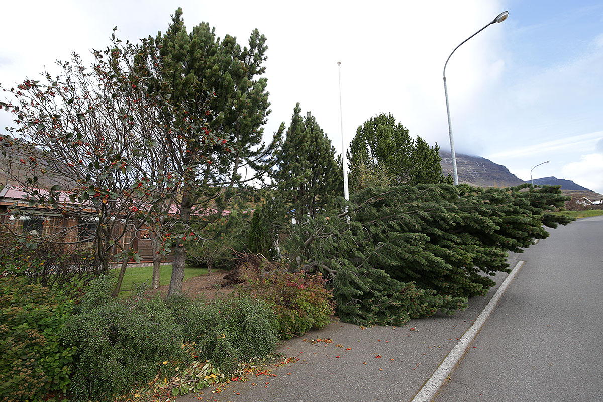 Reydarfjordur Ovedur 20220927 0031 Web