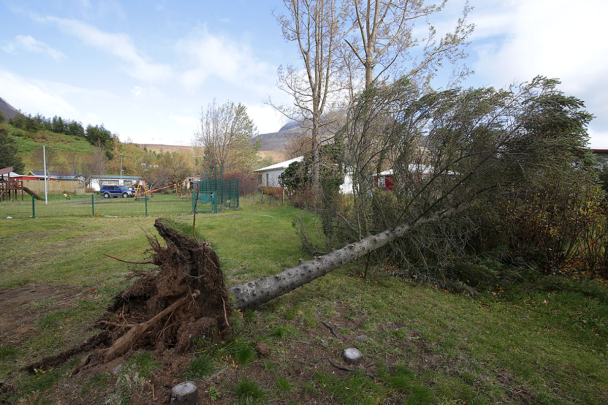 Reydarfjordur Ovedur 20220927 0051 Web