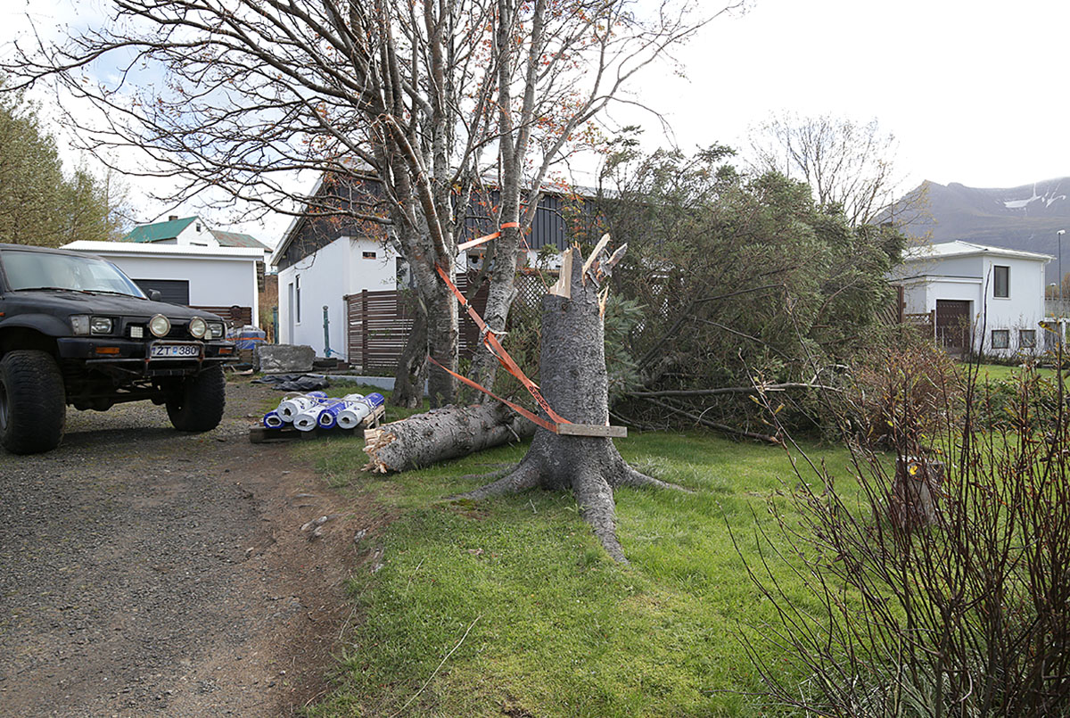 Reydarfjordur Ovedur 20220927 0052 Web