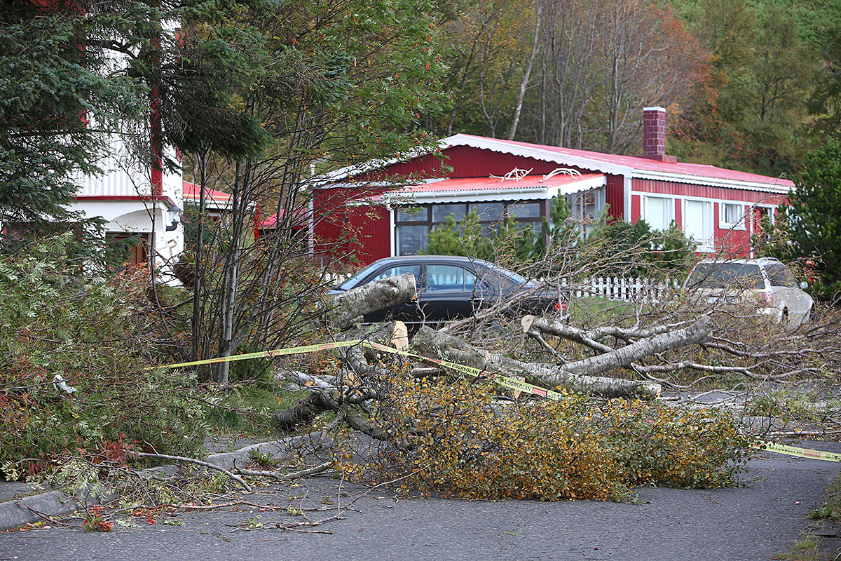 Reydarfjordur Ovedur 20220927 0059 Web