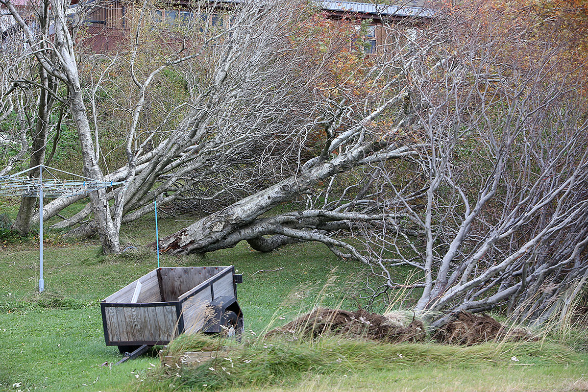 Reydarfjordur Ovedur 20220927 0100 Web