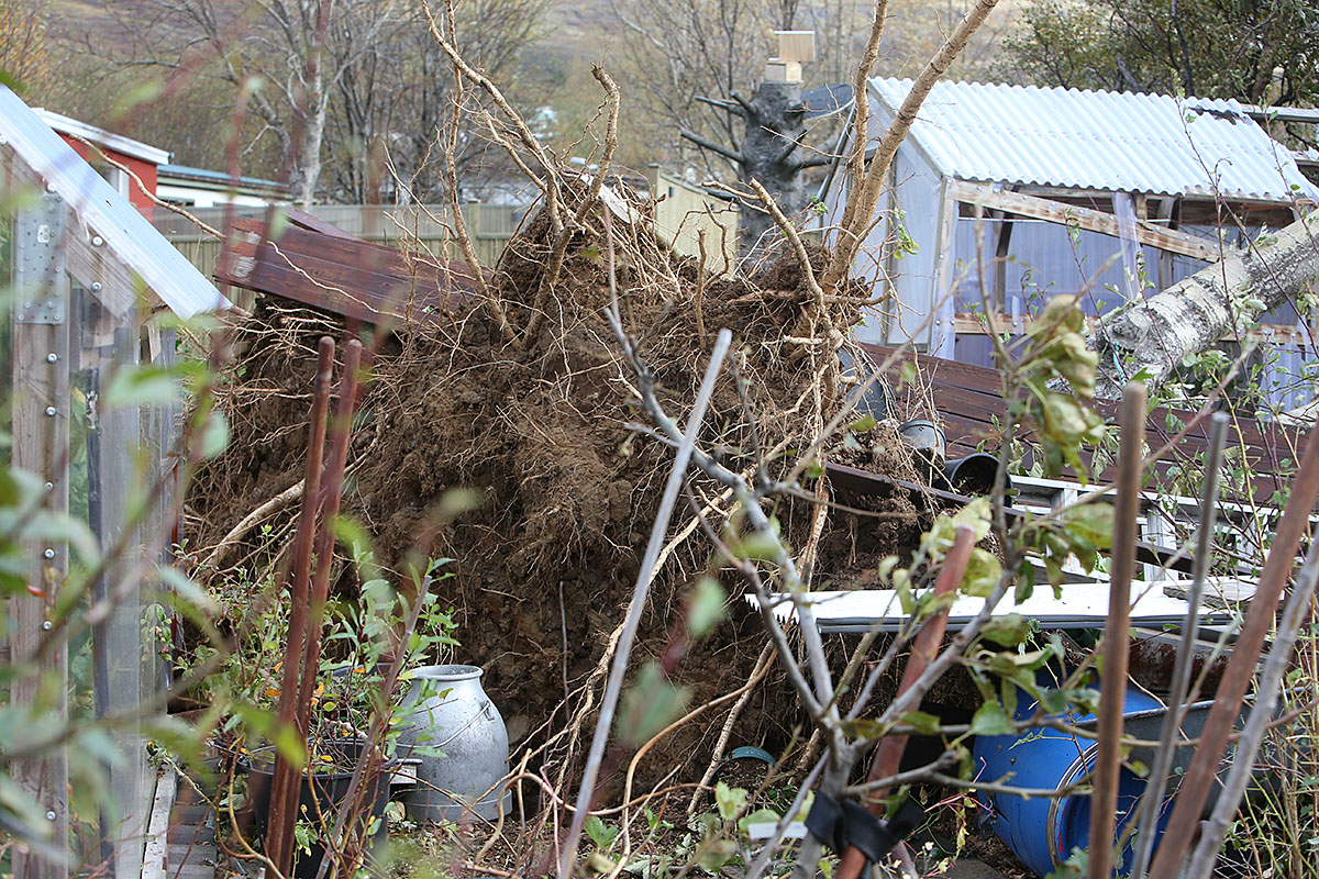 Reydarfjordur Ovedur 20220927 0119 Web