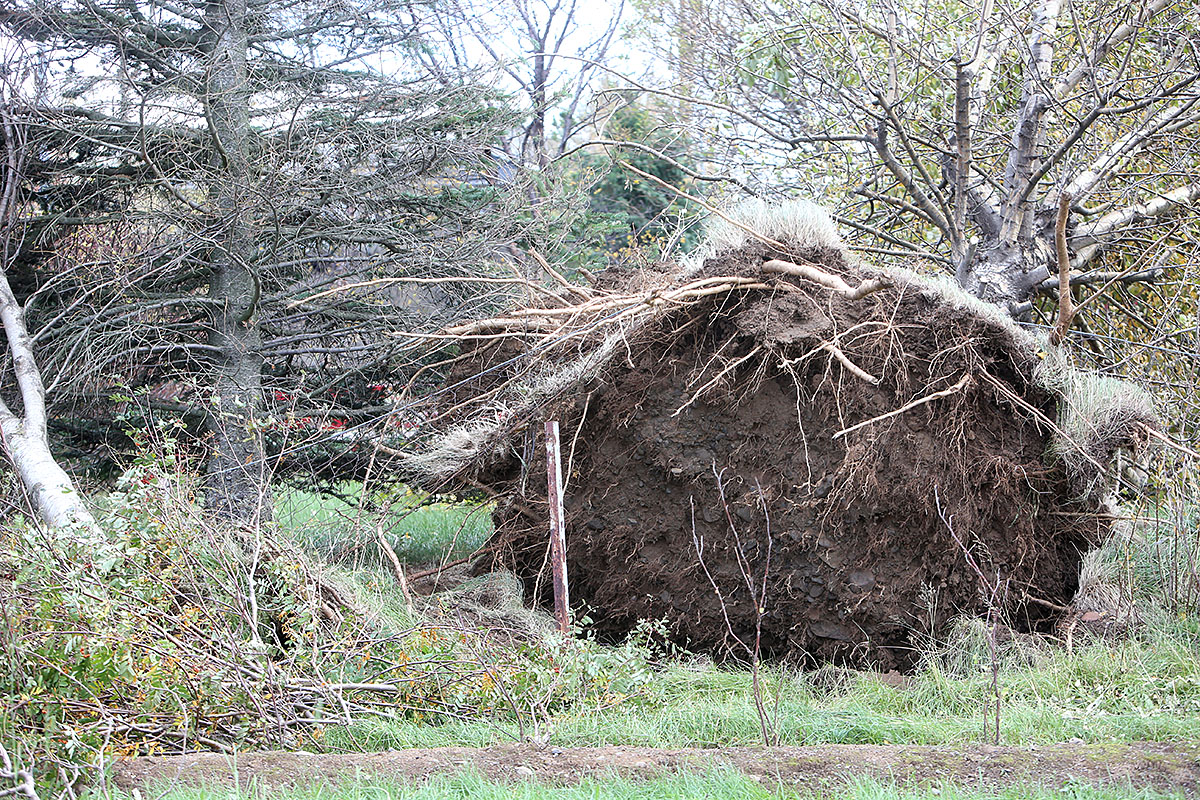Reydarfjordur Ovedur 20220927 0120 Web