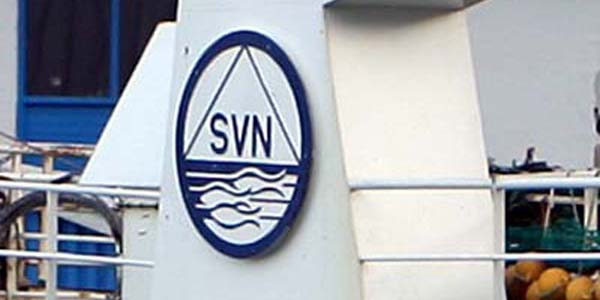 svn logo